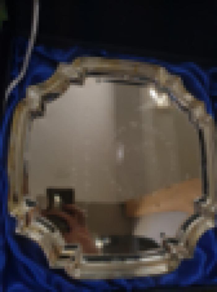 Silver dish, SWAI Club Website of the Year, 2012