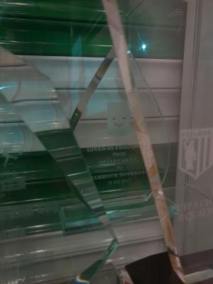 Glass trophy, Stjarnan v Shamrock Rovers, June 2017