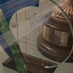 Glass trophy, The Echo Leading Light Award winners, 2011