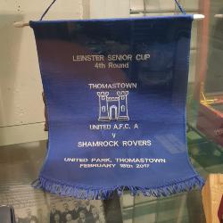 Pennant, Thomastown United v Shamrock Rovers, Leinster Senior Cup fourth round, 16 February 2017